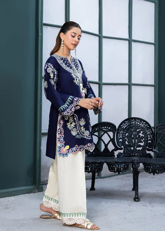 Navy blue embroidered two-piece|E151