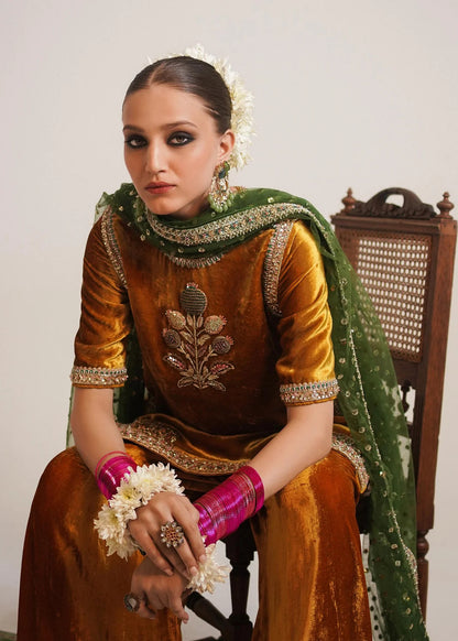 Luxury Embroidered Velvet 3-Piece Suit with Chiffon Dupatta|E154