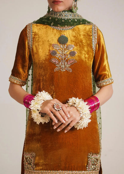 Luxury Embroidered Velvet 3-Piece Suit with Chiffon Dupatta|E154