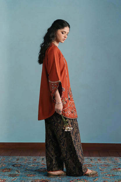 Viral Ethnic Embroidered 2-Piece Dhanak Suit|E171