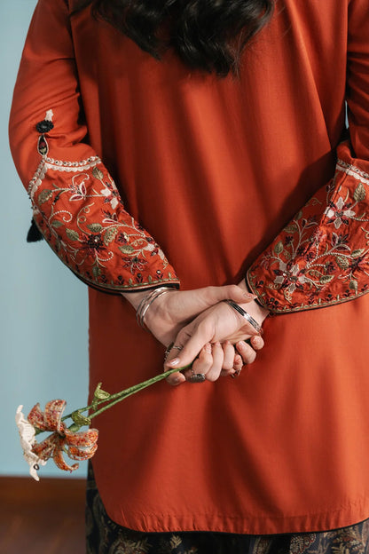 Viral Ethnic Embroidered 2-Piece Dhanak Suit|E171