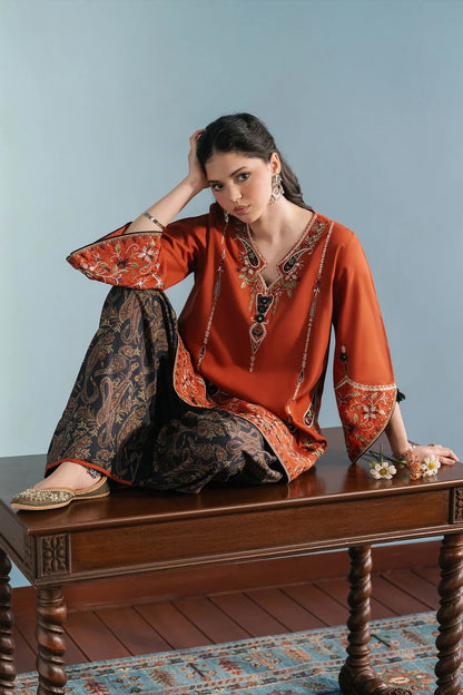 Viral Ethnic Embroidered 2-Piece Dhanak Suit|E171